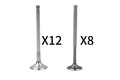 Auslassventile Komplett Für VW Audi 058109601C 058109611M B18636 Borsehung