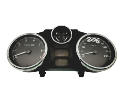 Tacho Kombiinstrument Peugeot 206+ 9666636980 Magneti 59114
