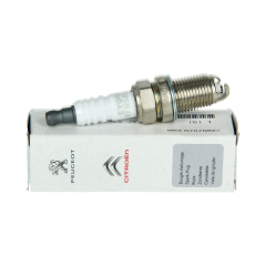 Zündkerze Original zu Citroen Peugeot C2 206 C3 207 RFN58LZ3A 5960J9