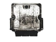 ad8-db12429eby
