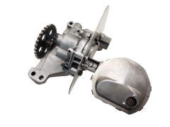 Ölpumpe 100166 9431216021 9431217021 Citroen Peugeot 2.1 TD