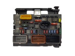 Steuergerät BSM-R05-00 9666700480 PSA Delphi 2180