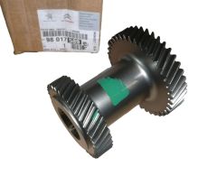 Gangzahnrad Neues Original 9801758980 Citroen Peugeot