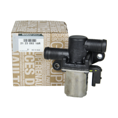 Wasserpumpe Original Dacia Renault 212309316R