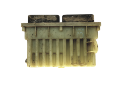 Steuergerät 24410130 15396912 Opel  GM Delphi 21928
