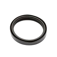 Dichtung Original  Renault Nissan 1.4 8v 0100100Q0C
