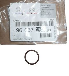 Dichtung Neues Original 9666725880 Citroen C5 C6 3.0 HDI