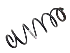 Fahrwerksfeder Hinten Original Renault Laguna 3 550200002R