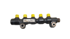 Einspritzleiste Kraftstoffverteiler 9653073880 1.4 HDI 16v Citroen C3 1570E5 Einspritzleiste Kraftstoffverteiler 9653073880 1.4 HDI 16v Citroen C3 1570E5