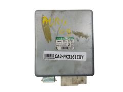 ca2-pk3161eby