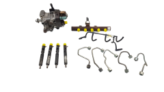 Einspritzpumpe 167003608R 166000897R 1.5 DCI Delphi Renault 07