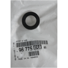 Dichtung Original Citroen Peugeot 9677565880