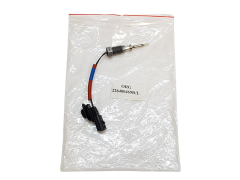 Abgastemperaturgeber Original Renault 226400469R