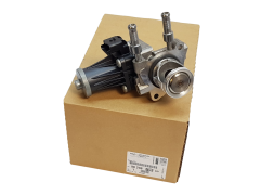 Agr-Ventil Original Citroen Peugeot 9829870080