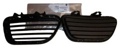 Stoßstangengrill Vorne Original 1638495380 Citroen