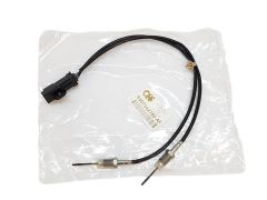 Abgastemperaturgeber Citroen Peugeot 9807562780 QPlus