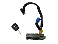 Zündschloss Peugeot 206 N0501539 4162Z1 Valeo 1015