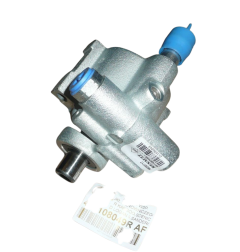 Pumpe Für Servolenkung Original Renault Kangoo I  Scenic 491108049R