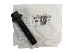 Schraube Neues Original Citroen Peugeot 9817665180