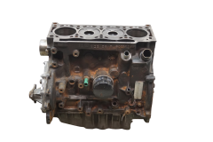 Motorblock F9QA734 F9Q734 1.9 DTI Renault Scenic