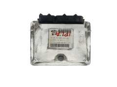 Steuergerät IAW49F.B2 46761567 Fiat Magneti Marelli 41621