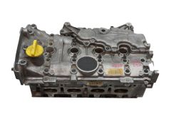 Zylinderkopf 8200307580F 7701473353 1,4 16v 1,6 16v Renault Zylinderkopf 8200307580F 7701473353 1,4 16v 1,6 16v Renault