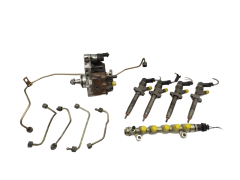 Kraftstoffpumpe und Einspritzdüsen 0445010033 0445110084 2.2 DCI Renault 