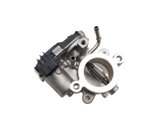 Drosselklappe 161A05894R A2C11160000 2.0 dCi Renault Trafic 3 0km