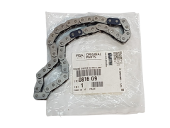 Steuerkettensatz Für Nockenwelle Neues Original Citroen Peugeot 2.7 HDi 0816G9