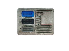 Steuergerät 12681318 811839393 12669908 Opel GM 44181 Steuergerät 12681318 811839393 12669908 Opel GM 44181