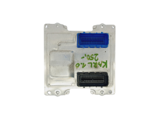 Steuergerät 12669104 12660743 401287396 Opel GM 