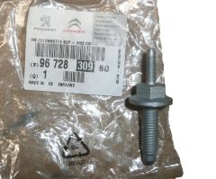 Schraube Neues Original 9672830980 Citroen C3 3 DS3