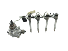 Kraftstoffpumpe und Einspritzdüsen 0445011500 0445110896 2.0DCI Renault 18000km