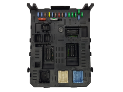 Steuergerät PSA 9660105680 H02-01 Johnson Controls
