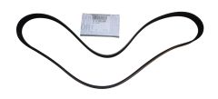 Keilriemen Für Lichtmaschine Original 6PK 117202503R Renault