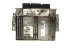 Steuergerät PSA 9646559880 9644674980-00 Sagem 18501