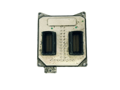 Steuergerät 55564081 S0700604 5WK9425 Opel GM 33908