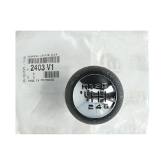 Schalthebel Original zu Citroen Peugeot C4 307 407 2403V1