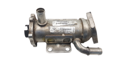 Agr-Kühler 8200611709 Valeo 2.0 DCI Renault Nissan 