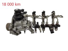 Kraftstoffpumpe und Einspritzdüsen 0445110800 0445010763 1.5 BluedCi Renault 