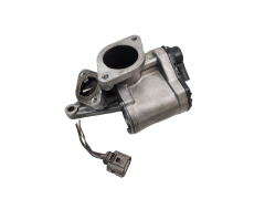 Agr-Ventil 8200630740 A2C53025930 1.9 dci Renault VDO Megane 2 Scenic 2 S25