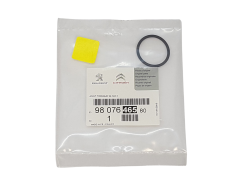 Dichtung Original Citroen Peugeot 9807646580