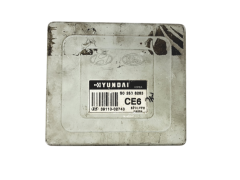 Steuergerät 39110-02743 S02808263 Hyundai Steuergerät 39110-02743 S02808263 Hyundai