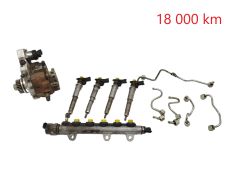 Kraftstoffpumpe und Einspritzdüsen 0445010099 0445115022 Bosch 2.0 dci Renault