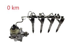 Kraftstoffpumpe und Einspritzdüsen Komplet 0445011500 0445110939 2.0DCI Renault