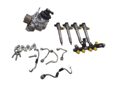 Kraftstoffpumpe und Einspritzdüsen 167003606R 0445110800 1.5 DCI Bluedci 1000km