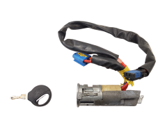 Zündschloss Peugeot 206 N0501539 4162Z1 Valeo CA1000