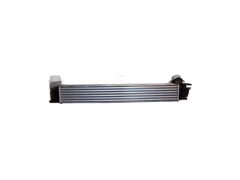 Luftkühler REN 144960600R
