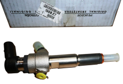 Einspritzdüse Original Citroen Peugeot C2 C3 1007 207  1.4 HDI 1980E7