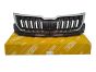 Kühlergrill Für Skoda Kodiaq 565853653C 88531819202 DPA